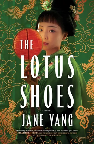 Cover art for The Lotus Shoes