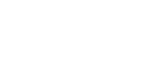 Nami Logo