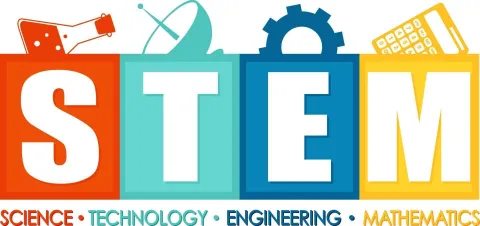 Stem logo