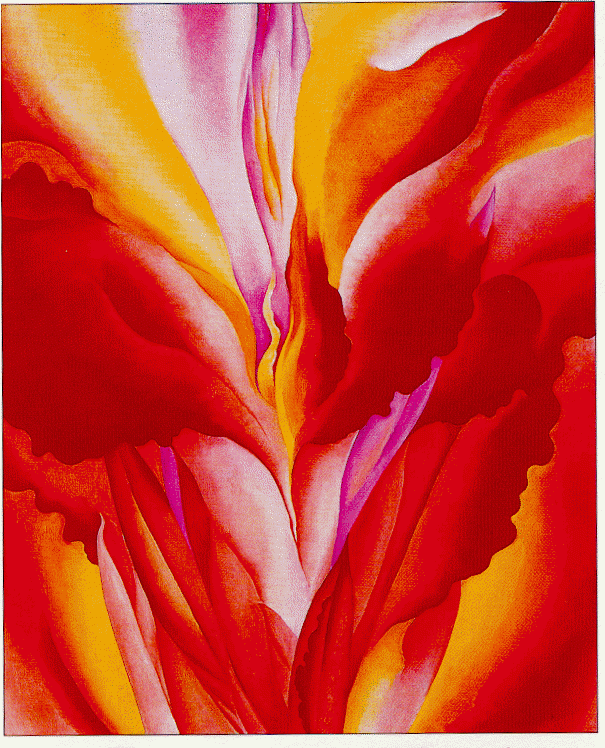 Red Canna